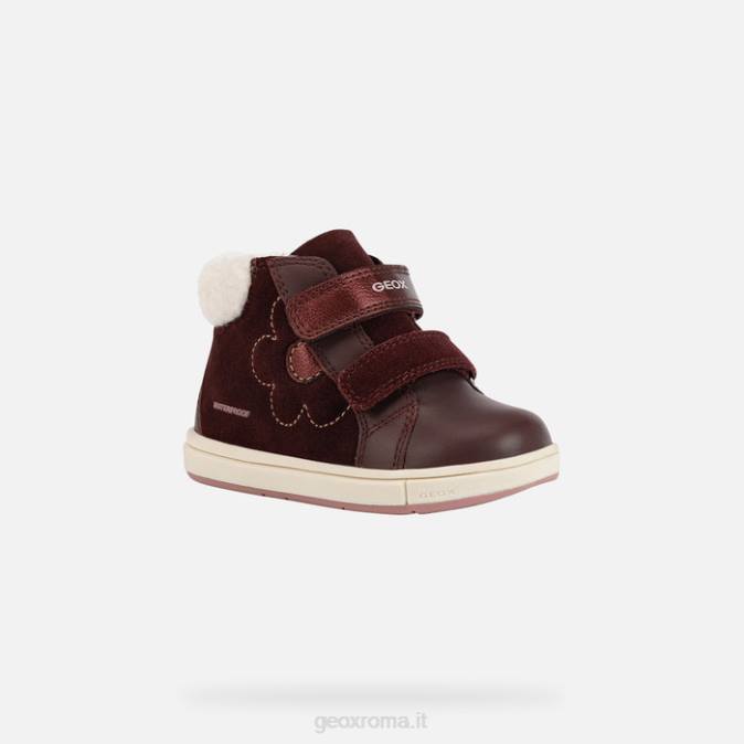 trottola bambino FX0W1529 bordeaux scuro Geox