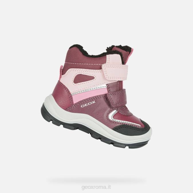 flanfil abx bambino FX0W1562 bordeaux/rosa Geox
