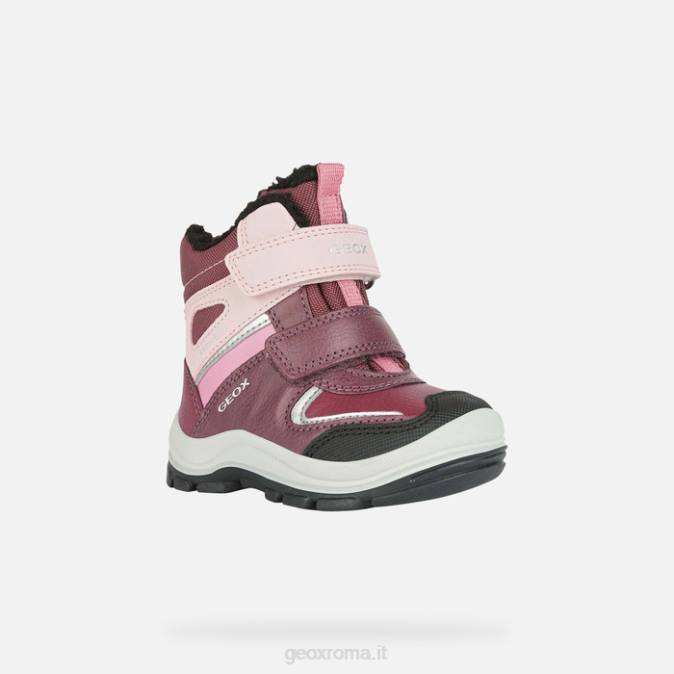 flanfil abx bambino FX0W1562 bordeaux/rosa Geox
