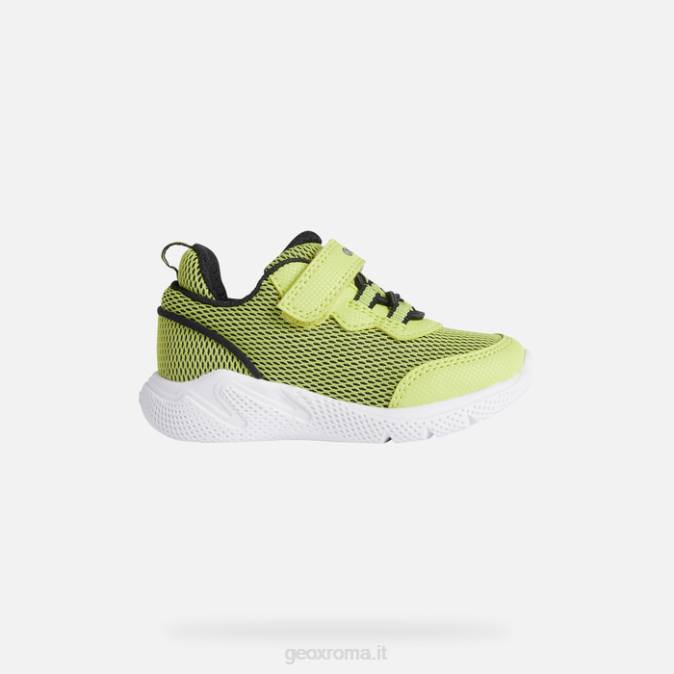 sprintye baby FX0W1464 lime/nero Geox