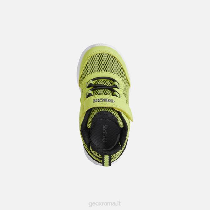 sprintye baby FX0W1464 lime/nero Geox
