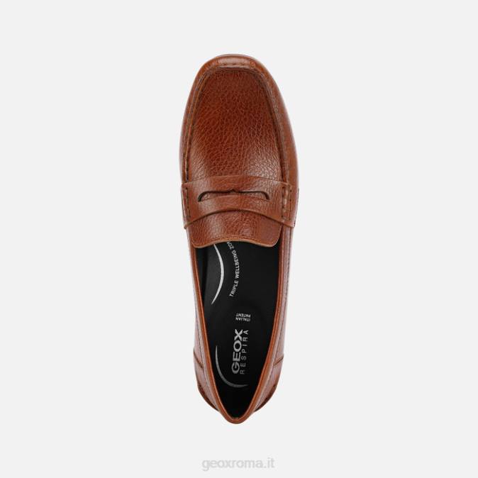 annytah moc donna FX0W464 marrone Geox