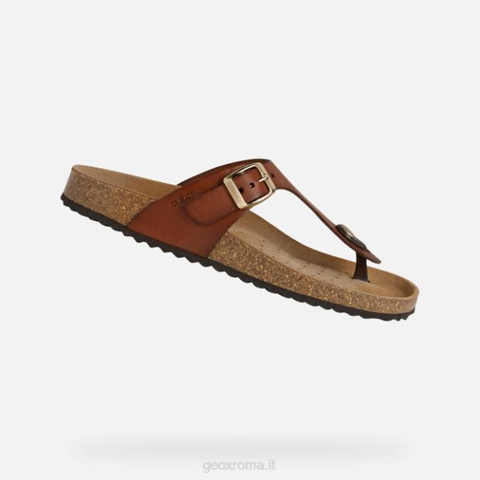 brionia donna FX0W494 marrone Geox