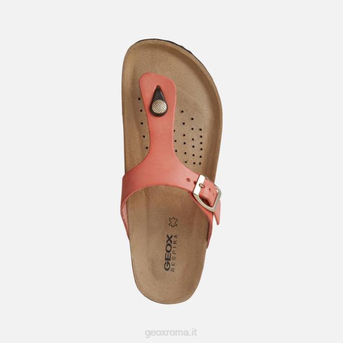 brionia donna FX0W496 ruggine Geox