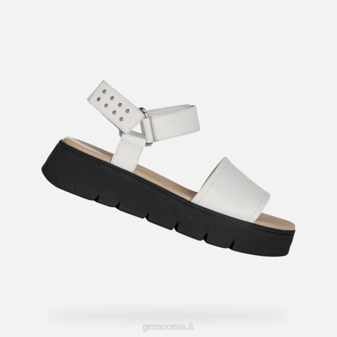 dandra 40 donna FX0W515 bianco Geox