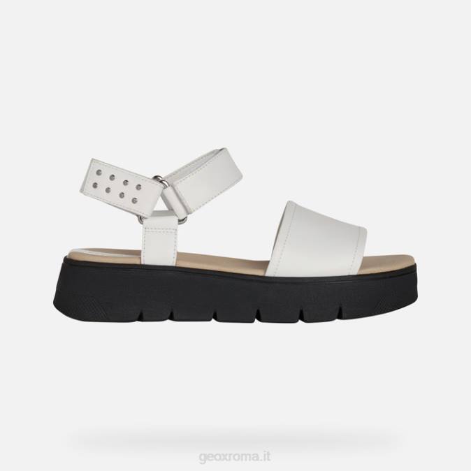 dandra 40 donna FX0W515 bianco Geox