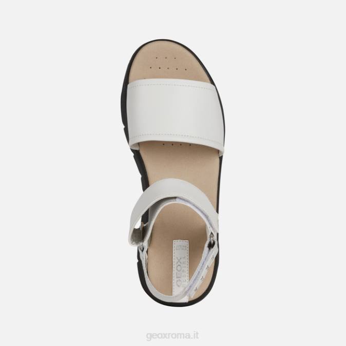 dandra 40 donna FX0W515 bianco Geox