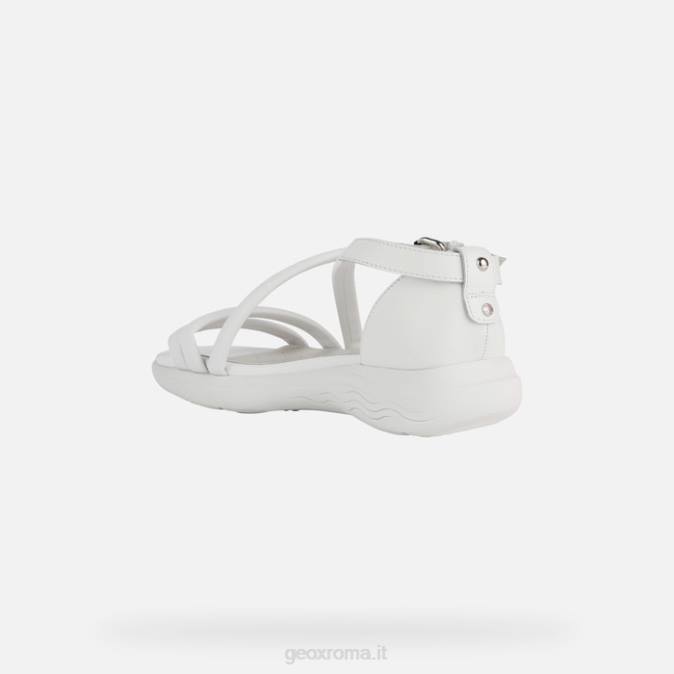 sferica ec5 donna FX0W574 bianco Geox