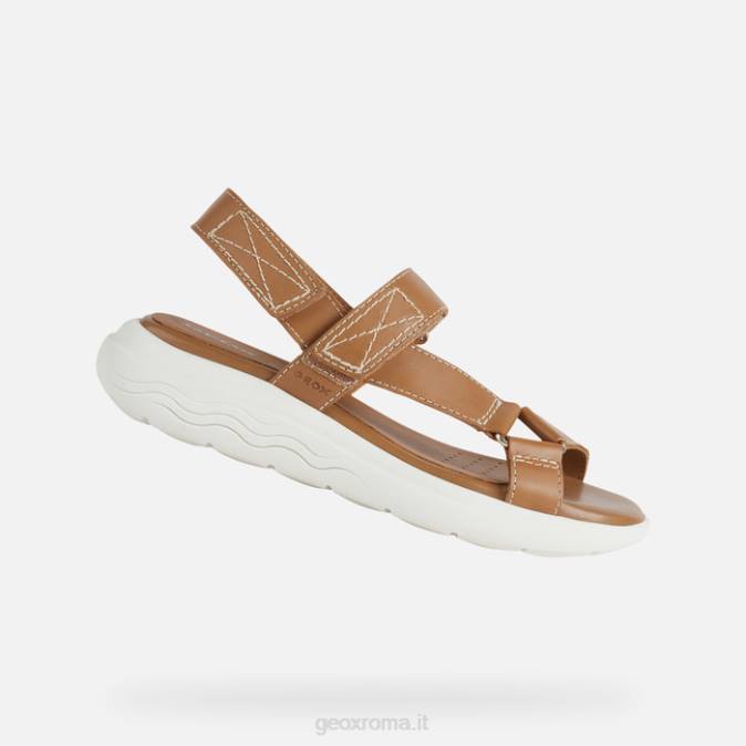 sferica ec5w donna FX0W38 cammello Geox