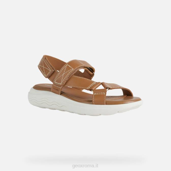 sferica ec5w donna FX0W38 cammello Geox