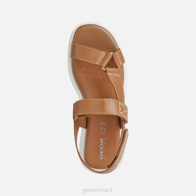 sferica ec5w donna FX0W38 cammello Geox