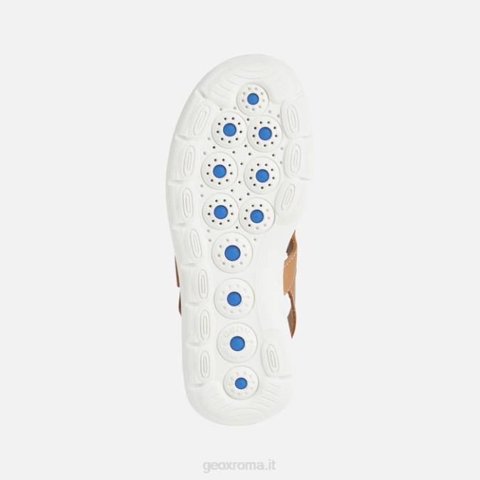 sferica ec5w donna FX0W38 cammello Geox