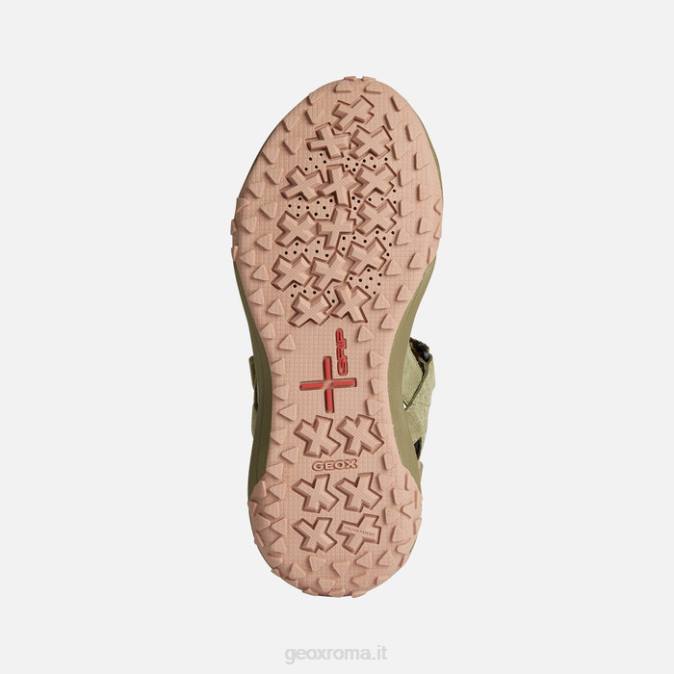 sorapis donna presa FX0W1671 pistacchio Geox