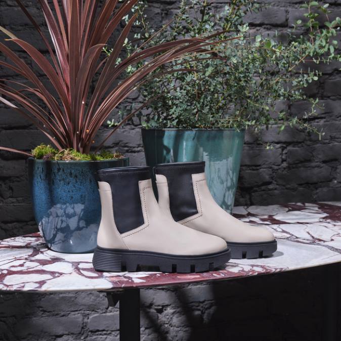 donna vigliacca FX0W255 tortora chiaro/nero Geox