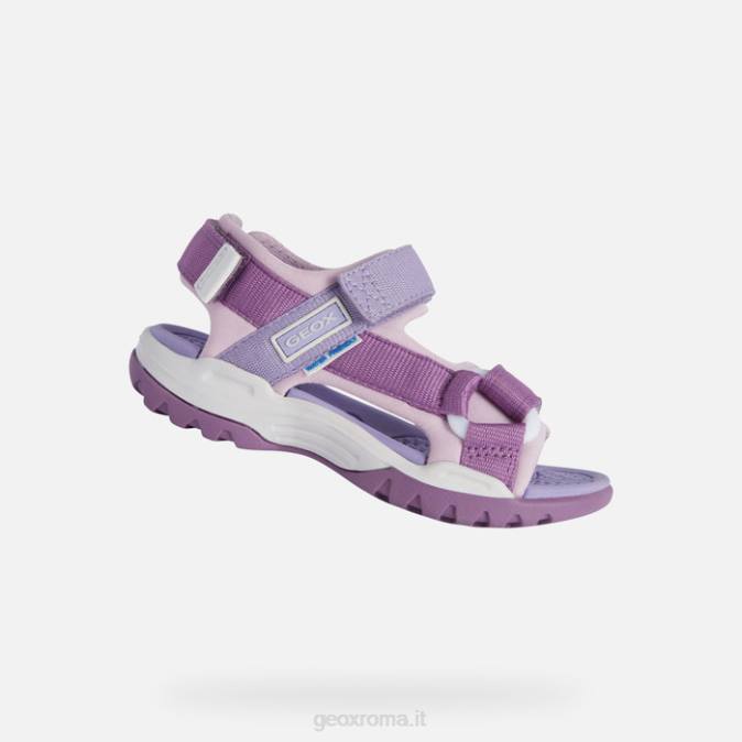 ragazza boreale FX0W1884 viola/rosa Geox