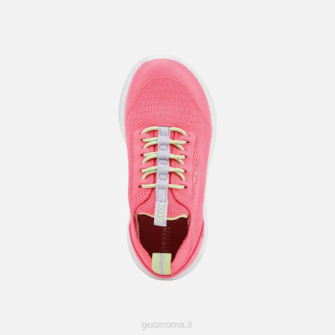 sprintye junior FX0W1057 fucsia fluo Geox
