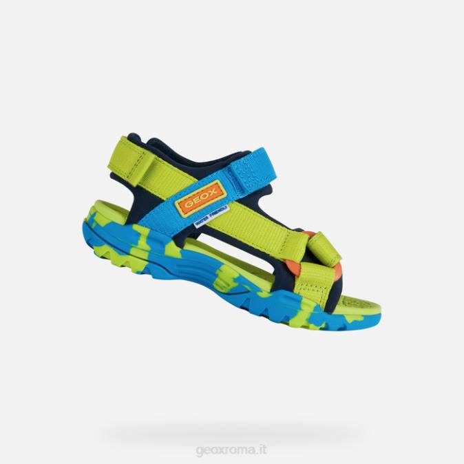 ragazzo boreale FX0W1962 calce/cielo Geox