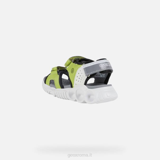 sandalo wroom boy FX0W1321 lime/nero Geox
