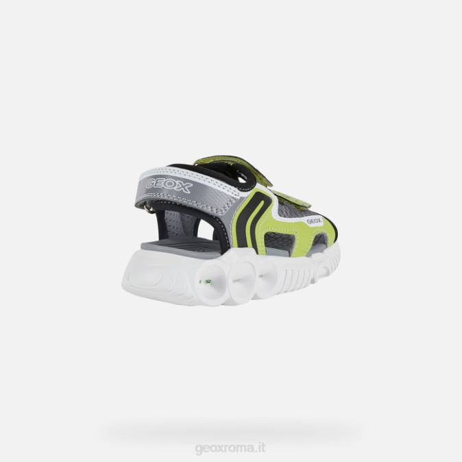 sandalo wroom boy FX0W1321 lime/nero Geox