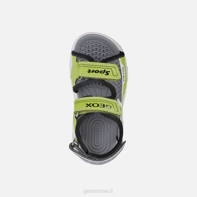 sandalo wroom boy FX0W1321 lime/nero Geox