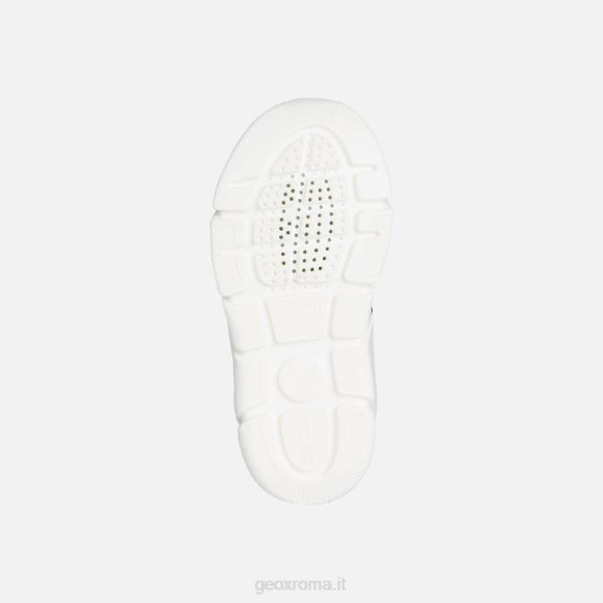 ragazzo arillo FX0W1270 reale/rosso Geox