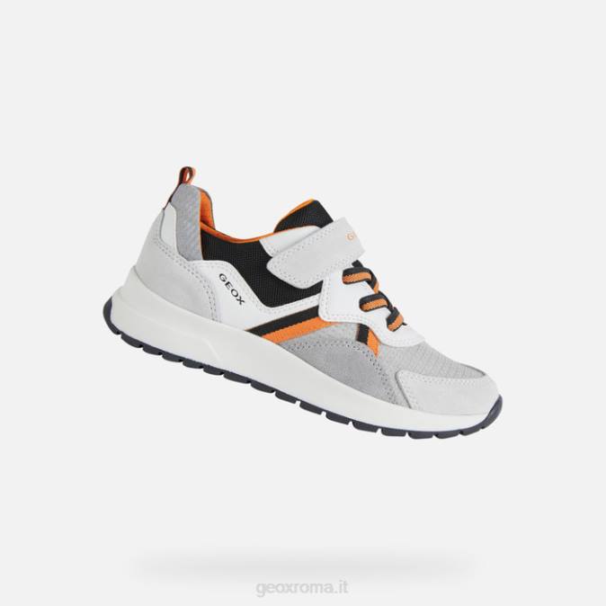 ragazzo brizzolato FX0W1393 bianco Geox