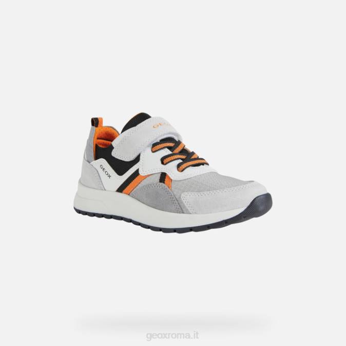 ragazzo brizzolato FX0W1393 bianco Geox