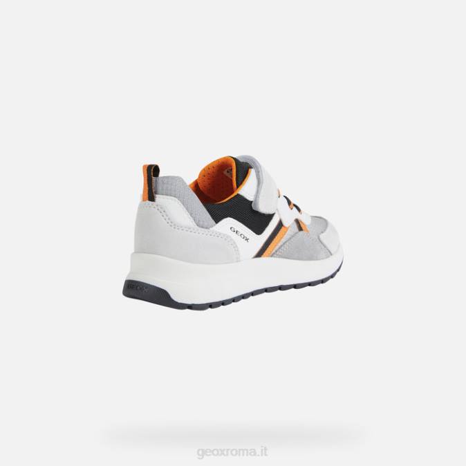 ragazzo brizzolato FX0W1393 bianco Geox