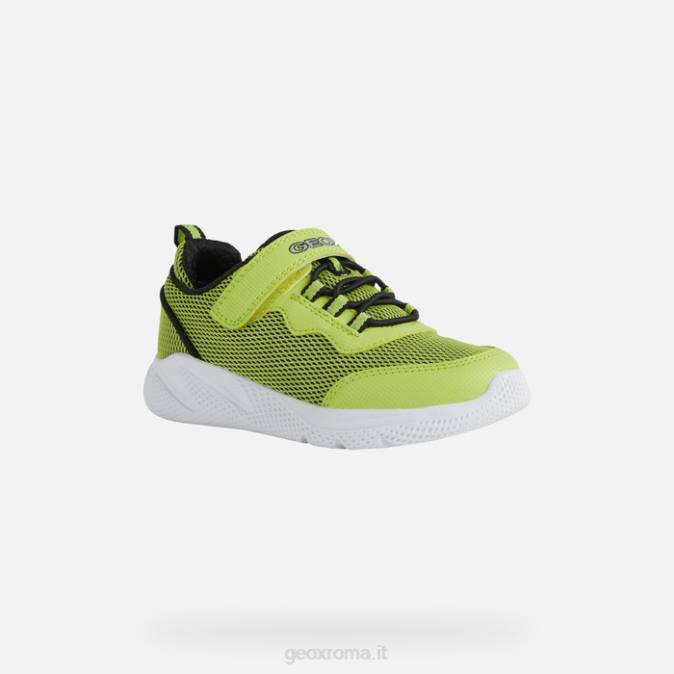 sprintye junior FX0W1351 lime/nero Geox