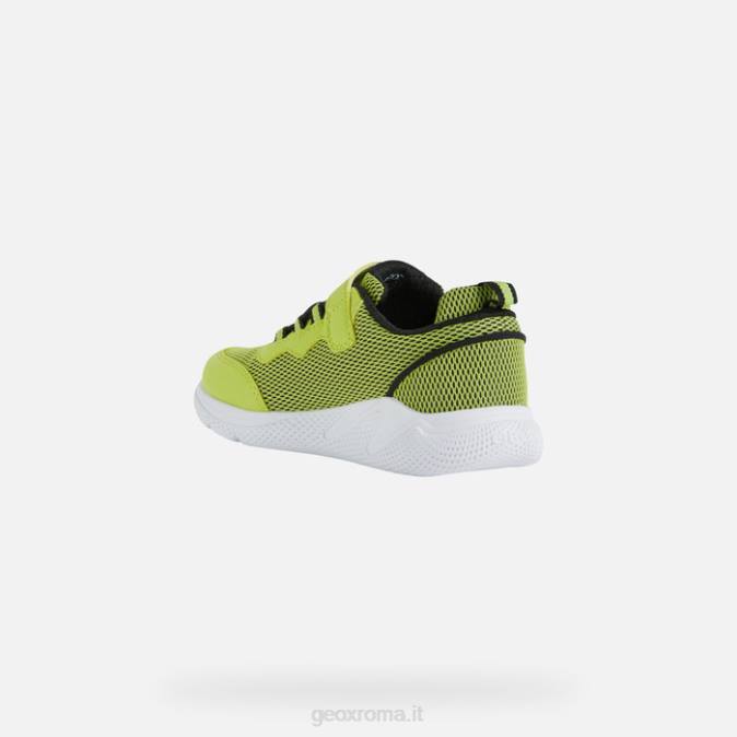sprintye junior FX0W1351 lime/nero Geox