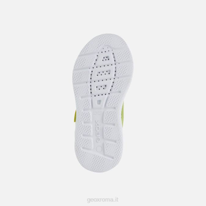 sprintye junior FX0W1351 lime/nero Geox