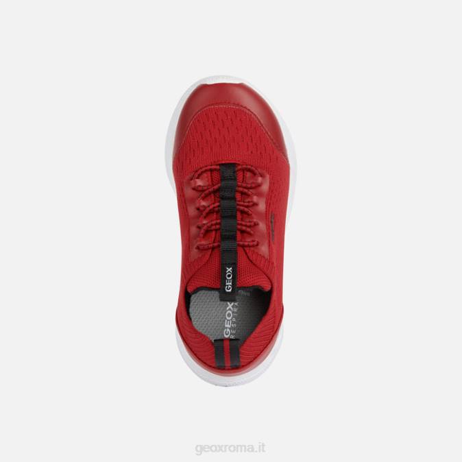 sprintye junior FX0W1895 rosso nero Geox