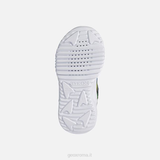 ragazzo aiutante FX0W1944 reale/verde Geox