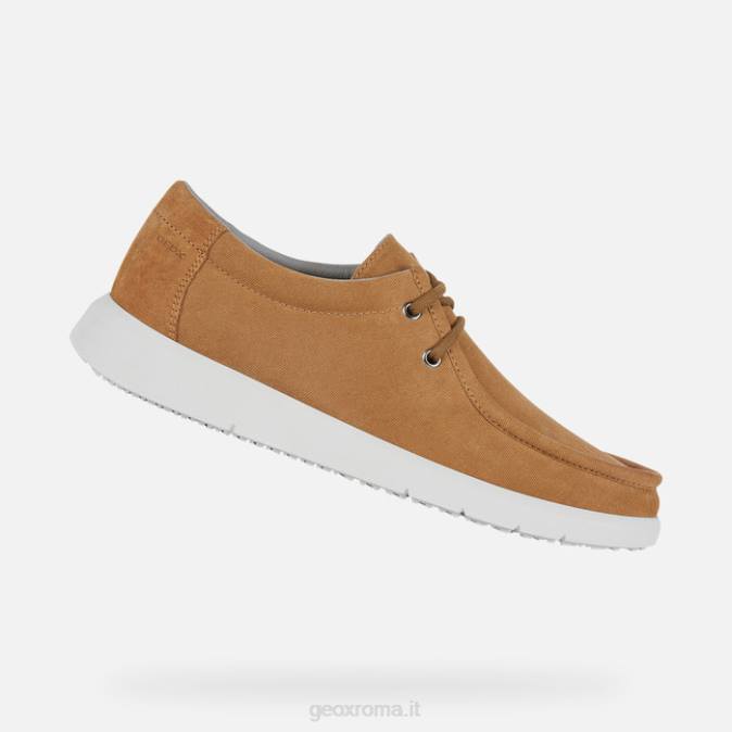 Errico uomo FX0W964 Whisky Geox