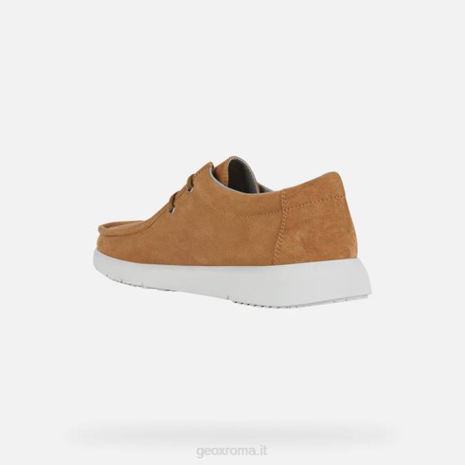 Errico uomo FX0W964 Whisky Geox