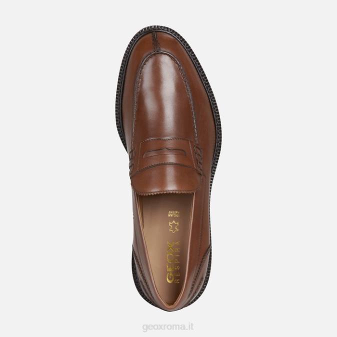 artenova man FX0W1834 cognac Geox