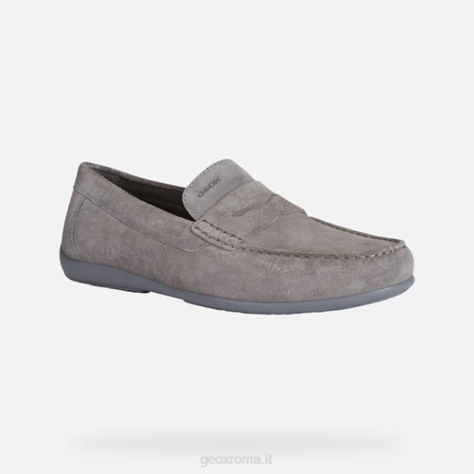 ascanio uomo FX0W1776 grigio Geox