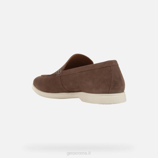 venzone uomo FX0W691 grigio tortora Geox