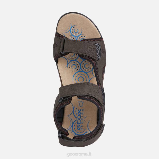 sferica ec5 uomo FX0W838 caffè Geox