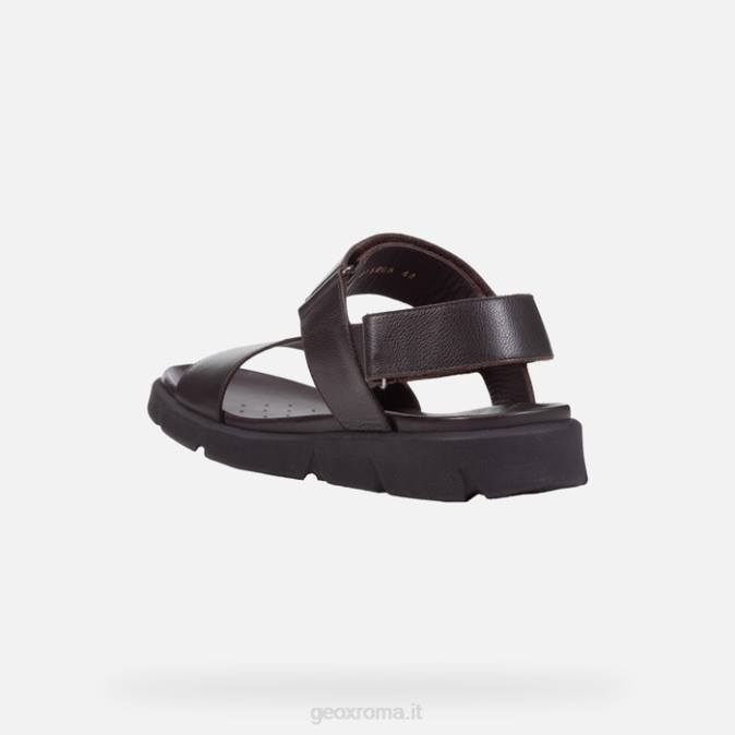 xe 2s uomo FX0W1757 cotto marrone Geox