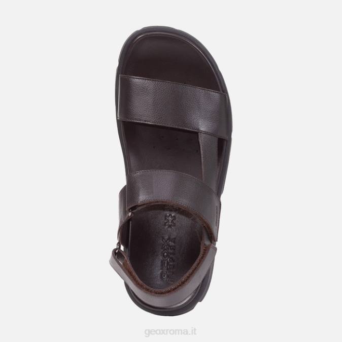 xe 2s uomo FX0W1757 cotto marrone Geox