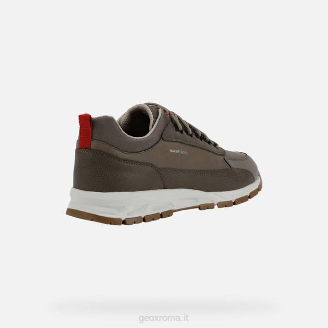 delirare l'uomo FX0W920 grigio tortora Geox