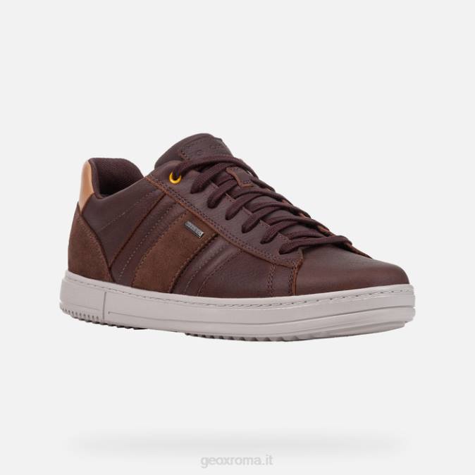 levico abx man FX0W809 caffè/noci Geox
