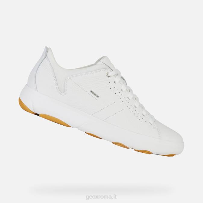 nebulosa e uomo FX0W1850 bianco Geox