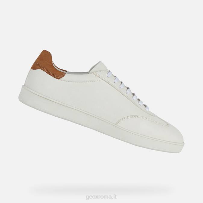 regio uomo FX0W700 bianco Geox