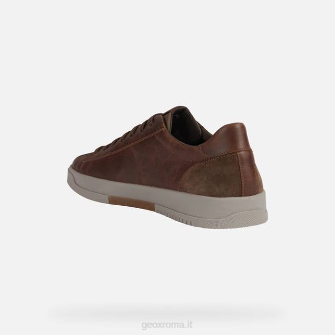 segnale uomo FX0W972 marrone Geox