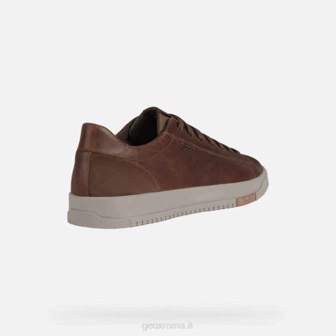 segnale uomo FX0W972 marrone Geox