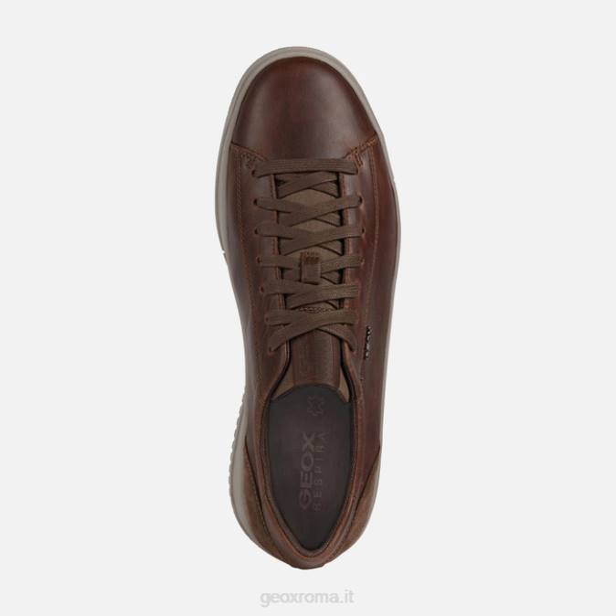 segnale uomo FX0W972 marrone Geox