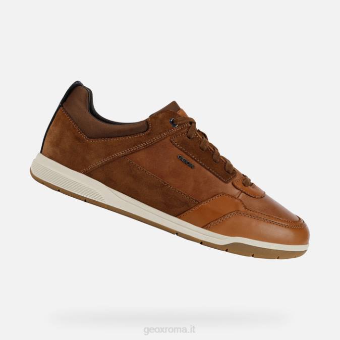 sferica ec3 uomo FX0W934 cognac/marrone chiaro Geox
