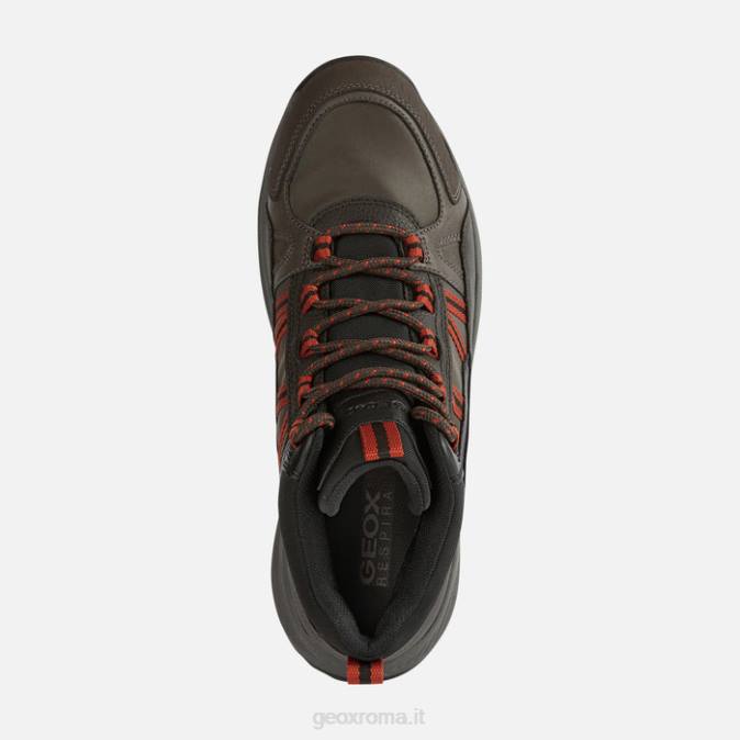 terrestre abx man FX0W837 caffè scuro Geox